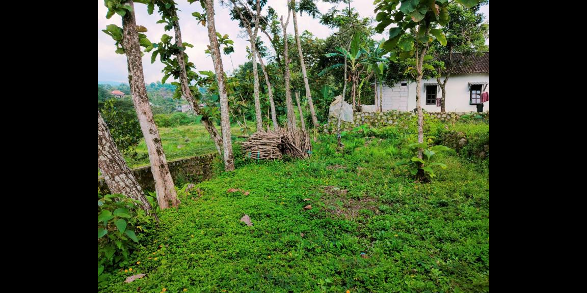 Tanah Dekat Ponpes Isy Karima & Al Azhar Karangpandan Karanganyar Tanah Dekat Ponpes Isy Karima & Al Azhar Karangpandan Karanganyar