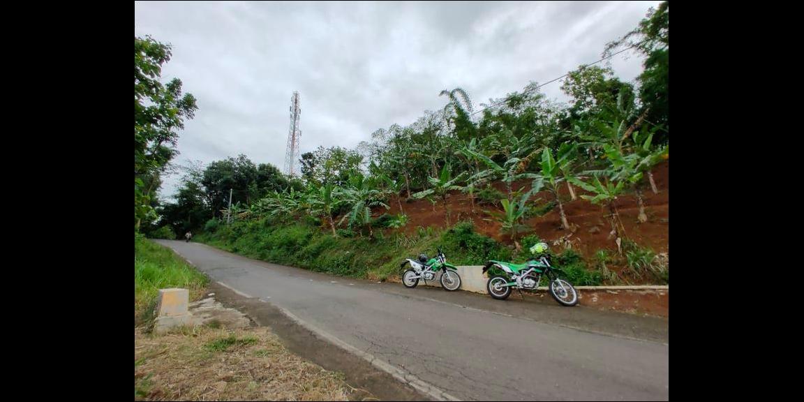 Tanah Subur Strategis Tepi Jl. Raya Kerjo-Kemuning Kerjo Karanganyar Tanah Subur Strategis Tepi Jl. Raya Kerjo-Kemuning Kerjo Karanganyar