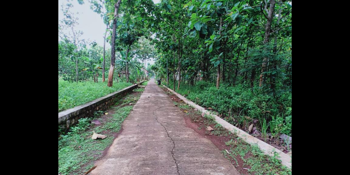 Tanah Kebun Jati Cocok dibangun Rumah Tinggal Kerjo Karanganyar Tanah Kebun Jati Cocok dibangun Rumah Tinggal Kerjo Karanganyar