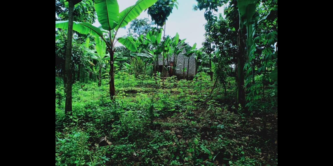 Rumah Siap Huni Mojogedang Karanganyar Rumah Siap Huni Mojogedang Karanganyar