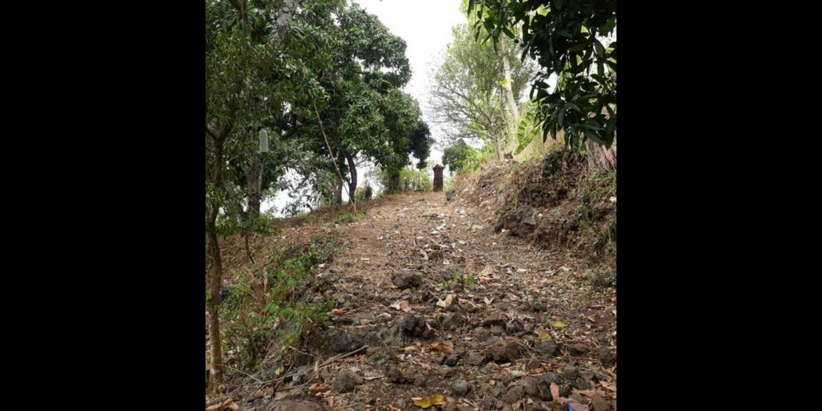 Jual Tanah Murah di Daerah Kayu Putih Buleleng Jual Tanah Murah di Daerah Kayu Putih Buleleng