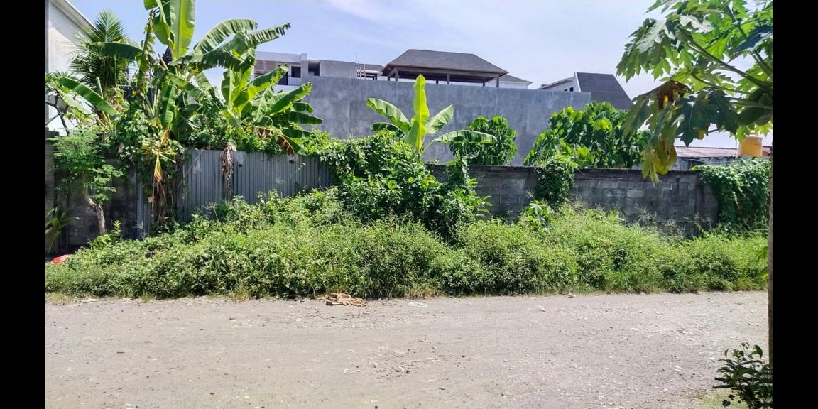 Jual Tanah Murah Kawasan Pemecutan Kelod Kota Denpasar Jual Tanah Murah Kawasan Pemecutan Kelod Kota Denpasar