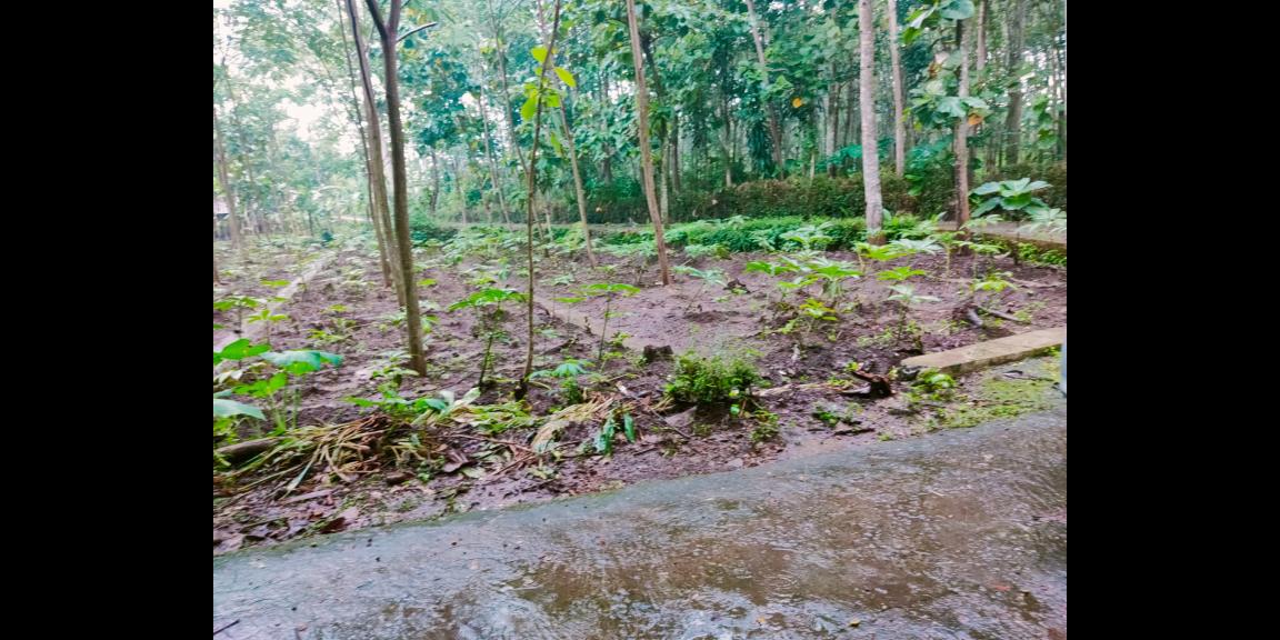 Tanah Datar Cocok di Kavling /dibangun Rumah Mojogedang Karanganyar Tanah Datar Cocok di Kavling /dibangun Rumah Mojogedang Karanganyar