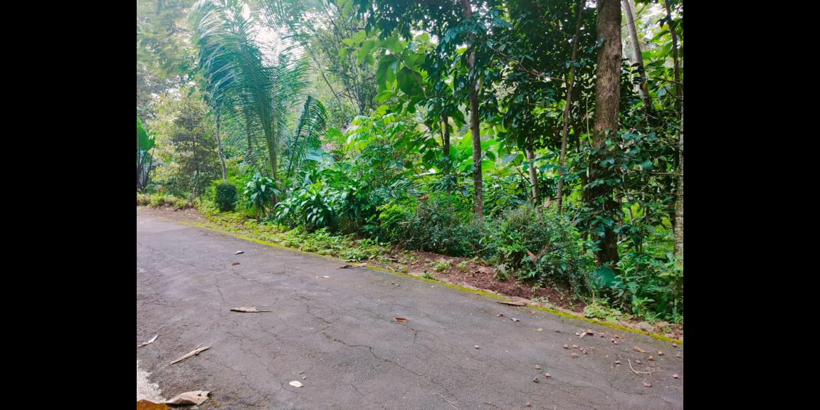 Tanah Cocok Untuk Kebun Buah Mojogedang Karanganyar Tanah Cocok Untuk Kebun Buah Mojogedang Karanganyar