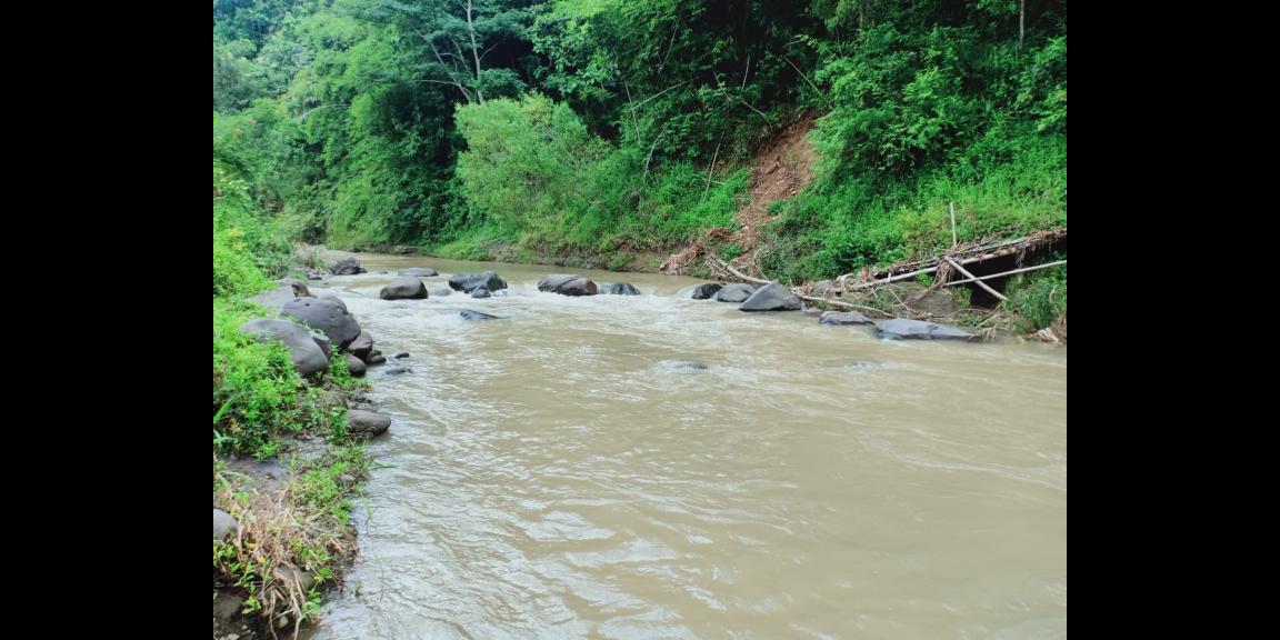 Tanah 2705m² Sambirejo Sragen Tanah 2705m² Sambirejo Sragen