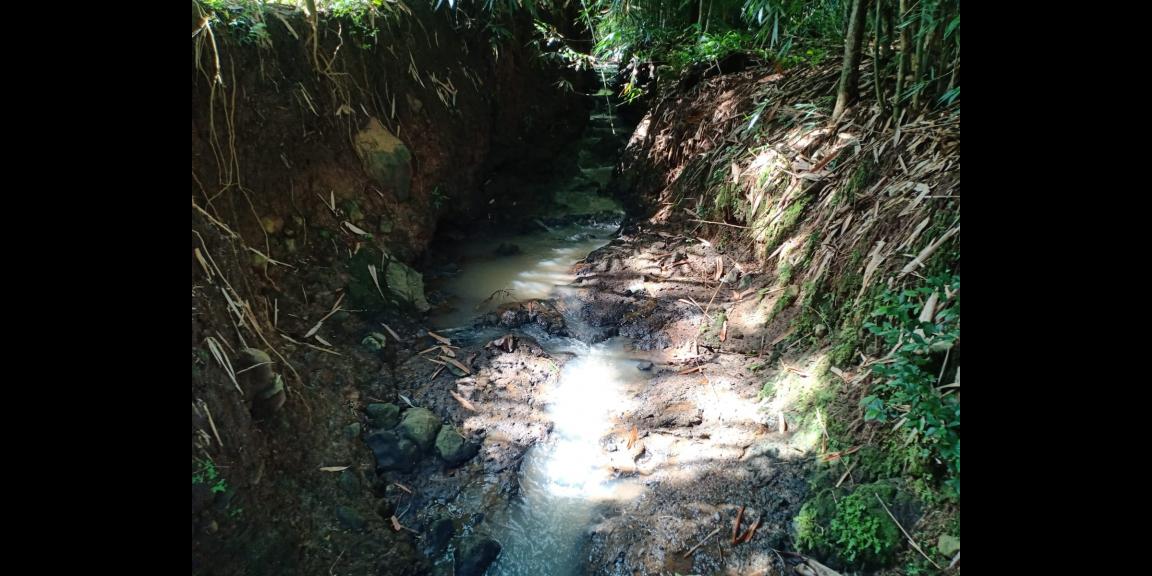 Tanah Cocok Untuk Kebun Durian Kerjo Karanganyar Tanah Cocok Untuk Kebun Durian Kerjo Karanganyar