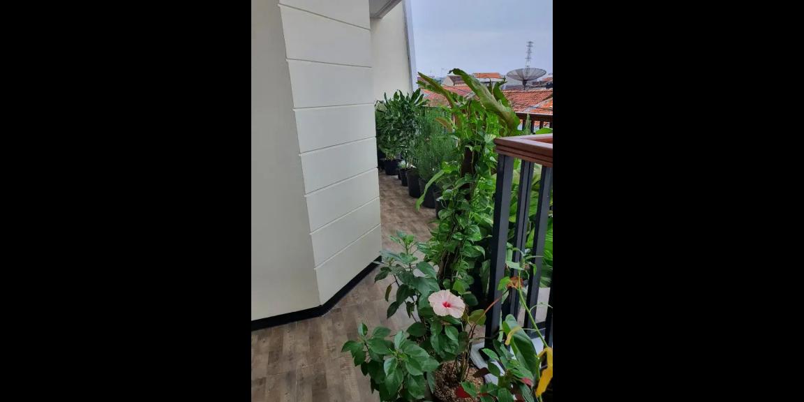 Rumah Mewah Pucang di Jalan Ngagel Timur Surabaya Rumah Mewah Pucang di Jalan Ngagel Timur Surabaya