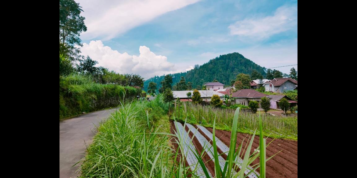 Tanah Idaman Cocok untuk Villa Kemuning Karanganyar Tanah Idaman Cocok untuk Villa Kemuning Karanganyar