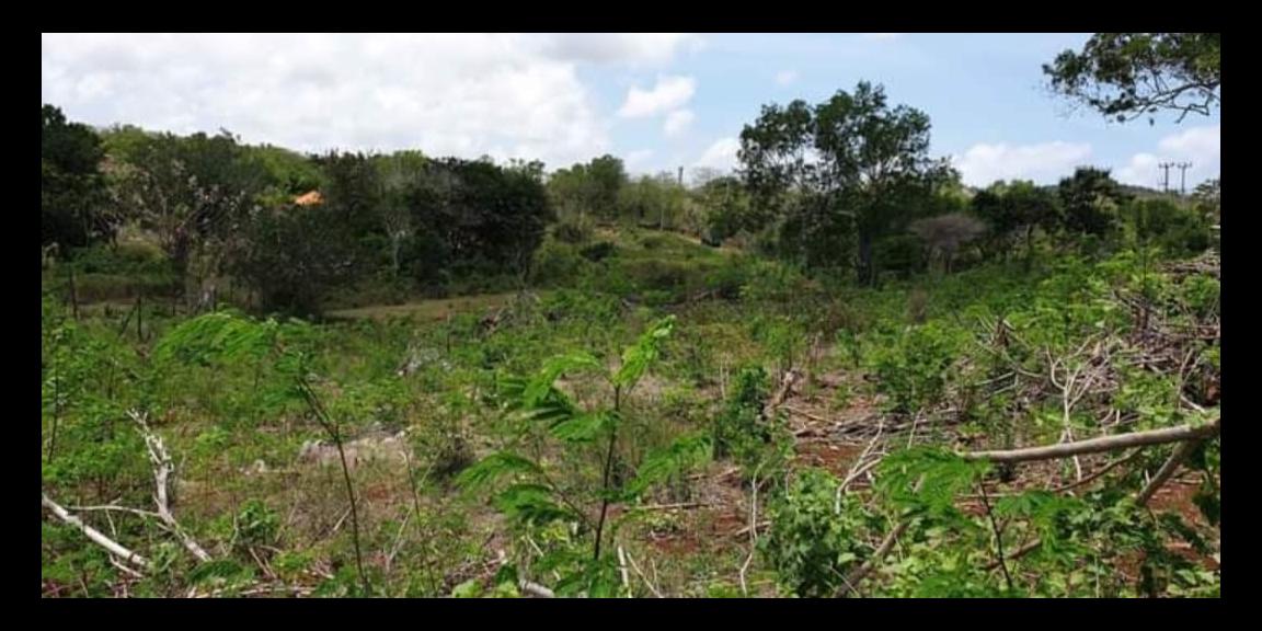 Di Jual atau Sewa Tanah di Uluwatu Langsung Pantai dan Sunset Bali Di Jual atau Sewa Tanah di Uluwatu Langsung Pantai dan Sunset Bali