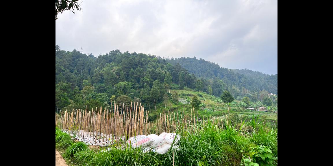 Dijual Tanah 410m² Dekat Candi Sukuh Kemuning Dijual Tanah 410m² Dekat Candi Sukuh Kemuning