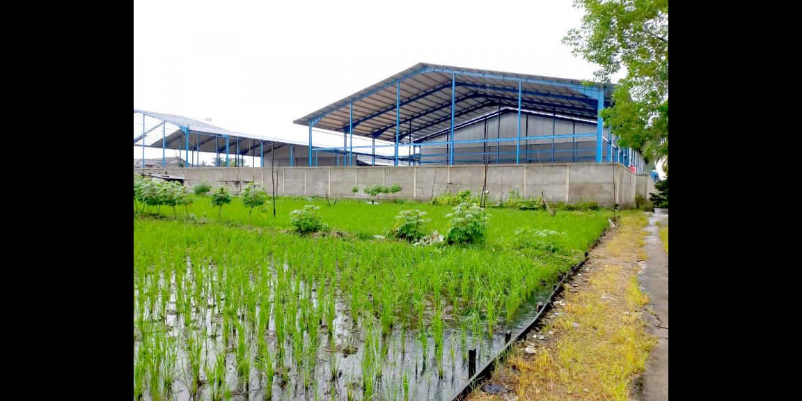 Tanah Raya 2, Sui Raya Dalam, Pontianak, Kalimantan Barat Tanah Raya 2, Sui Raya Dalam, Pontianak, Kalimantan Barat