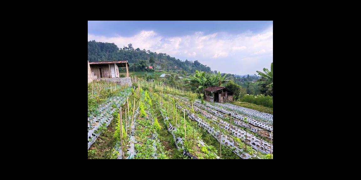 Tanah Dekat Bumi Perkemahan Kemuning Karanganyar Tanah Dekat Bumi Perkemahan Kemuning Karanganyar