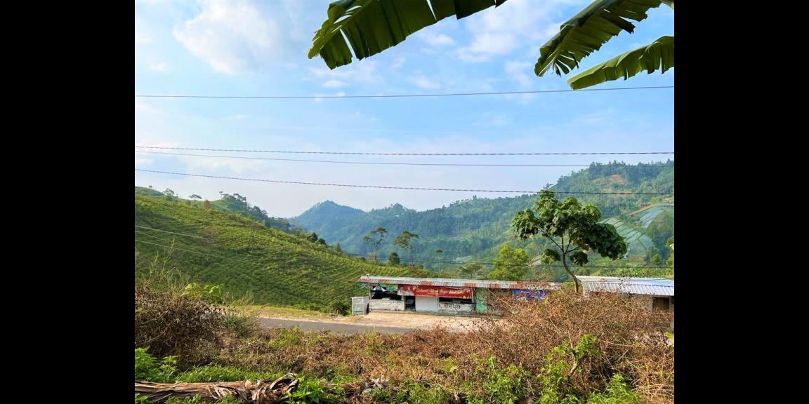 Tanah Dekat Jembatan Kaca Kemuning Karanganyar Tanah Dekat Jembatan Kaca Kemuning Karanganyar
