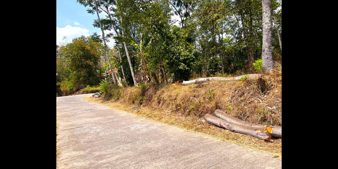 Tanah 1000m2 Siap Dibangun Villa Karangpandan, Karanganyar Tanah 1000m2 Siap Dibangun Villa Karangpandan, Karanganyar