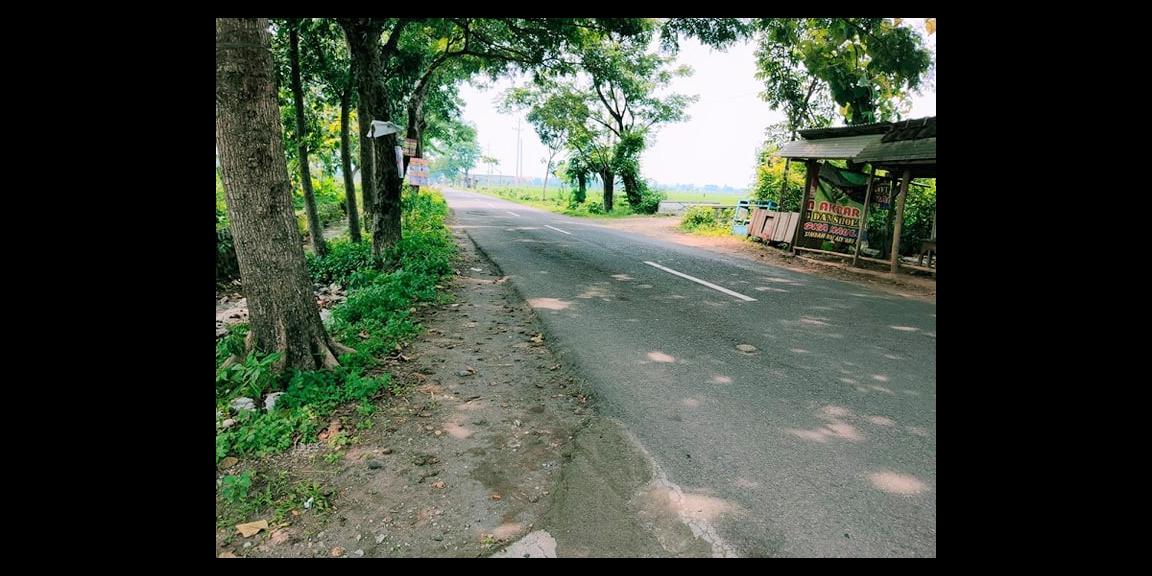 Tanah Siap Buka Usaha Jl Raya Batujamus - Jambangan Tanah Siap Buka Usaha Jl Raya Batujamus - Jambangan