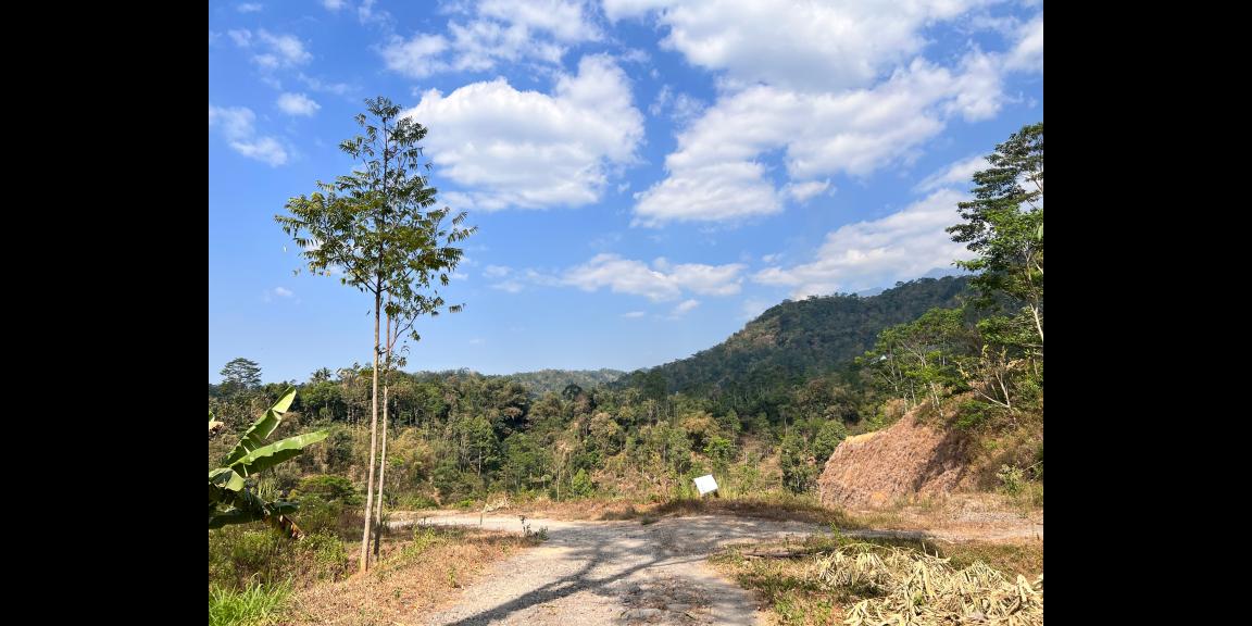 Tanah 2000m² Barat Pasar Kemuning Ngargoyoso Karanganyar Tanah 2000m² Barat Pasar Kemuning Ngargoyoso Karanganyar