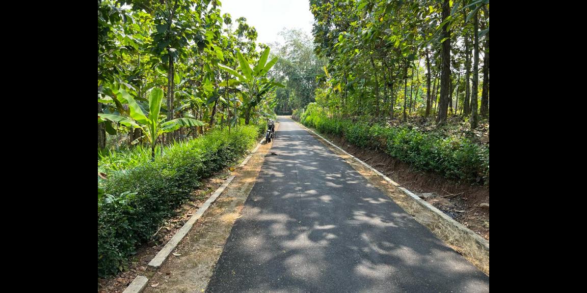 Tanah Datar Bonus Kebun Jati Kerjo Karanganyar Tanah Datar Bonus Kebun Jati Kerjo Karanganyar