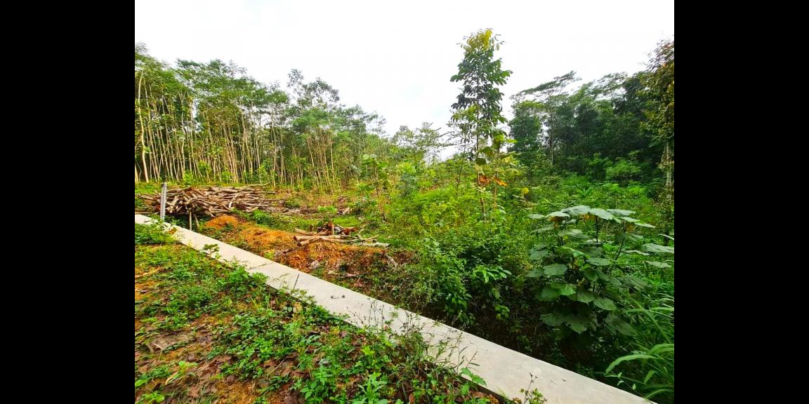 Tanah Cocok untuk Gudang Matesih Karanganyar Tanah Cocok untuk Gudang Matesih Karanganyar