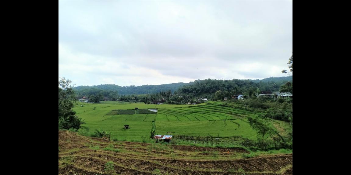 Rumah Siap Huni Karangpandan Karanganyar Rumah Siap Huni Karangpandan Karanganyar