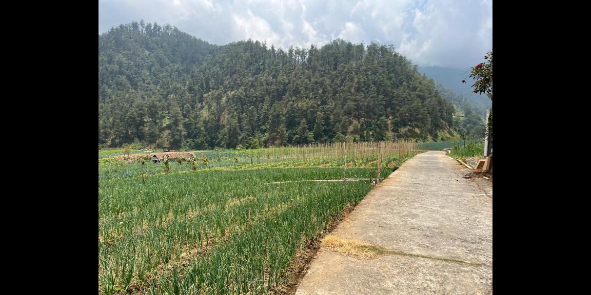 Tanah 400m2 Dekat Wisata Balekambang Tawangmangu Tanah 400m2 Dekat Wisata Balekambang Tawangmangu