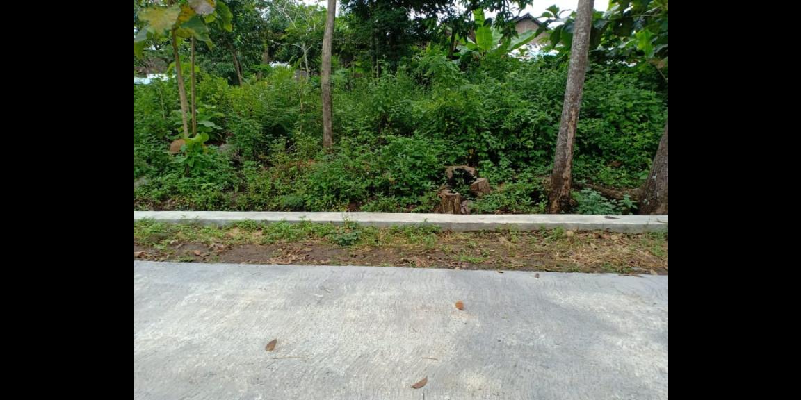 Tanah Strategis Dekat Pemukiman Masyarakat Mojogedang Karanganyar Telp/WA: 082327612345 Tanah Strategis Dekat Pemukiman Masyarakat Mojogedang Karanganyar Telp/WA: 082327612345