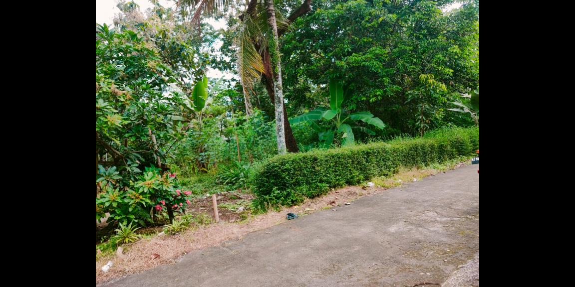 Tanah Datar Cocok dibangun Rumah Tinggal Mojogedang Tanah Datar Cocok dibangun Rumah Tinggal Mojogedang