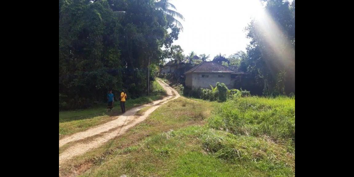 Jual Tanah Kavling Jalan Wisnu Marga Tabanan Murah Jual Tanah Kavling Jalan Wisnu Marga Tabanan Murah