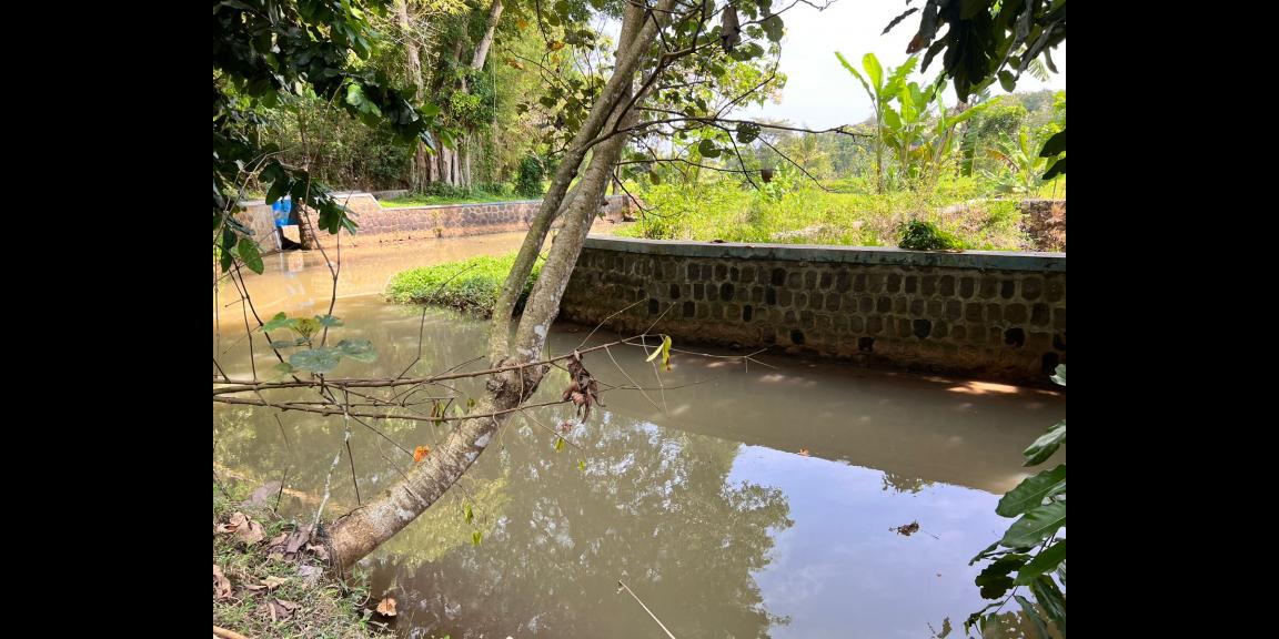 Tanah Seluas ini Hanya 150 Juta Karanganyar Tanah Seluas ini Hanya 150 Juta Karanganyar