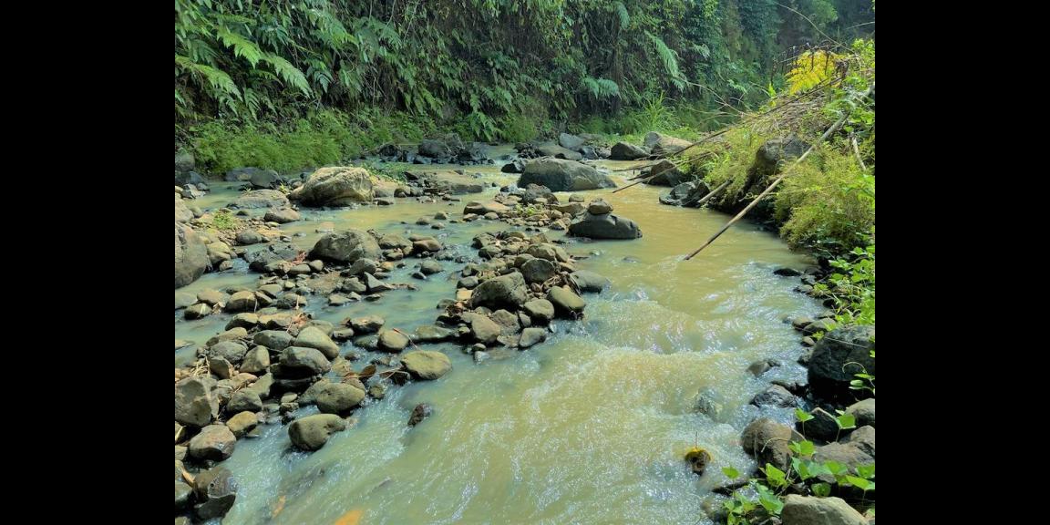Tanah Kebun Durian 1015m² Hanya 200Jt Karanganyar Tanah Kebun Durian 1015m² Hanya 200Jt Karanganyar