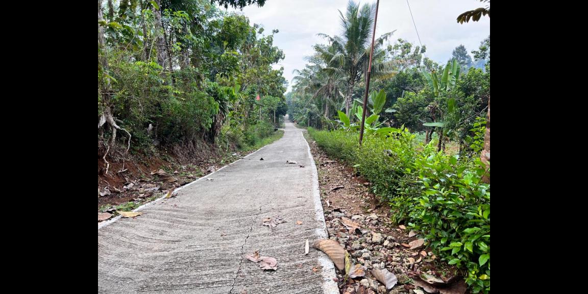 Tanah Kebun Durian 1000m² Mojogedang Karanganyar Tanah Kebun Durian 1000m² Mojogedang Karanganyar