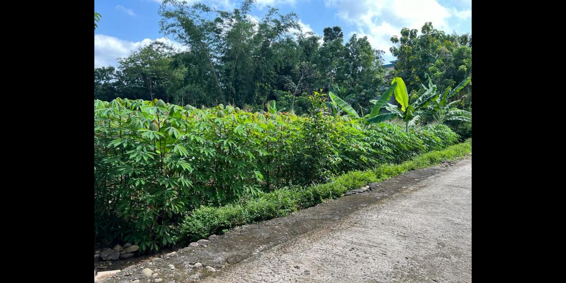Tanah Siap Bangun Hanya 175 Juta Karanganyar Tanah Siap Bangun Hanya 175 Juta Karanganyar