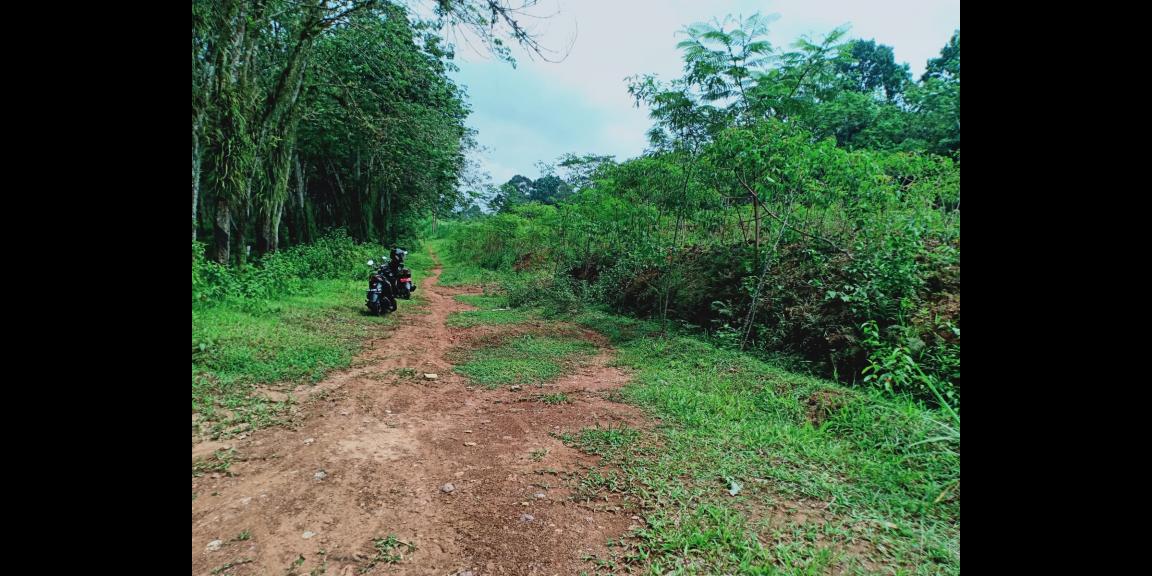 Tanah Dijual Cocok untuk Investasi Karangpandan Tanah Dijual Cocok untuk Investasi Karangpandan