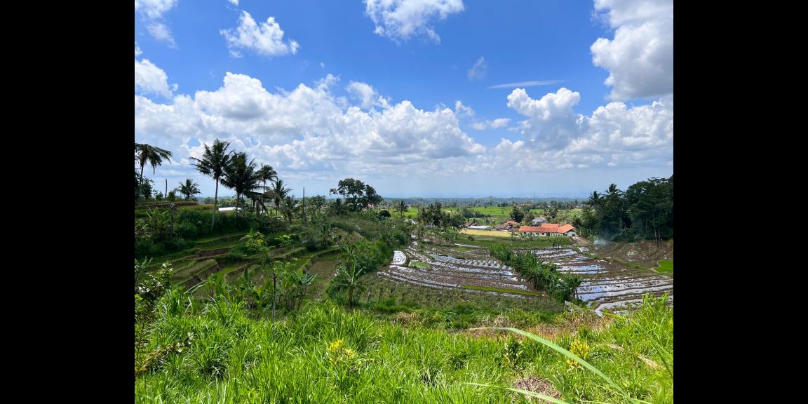 Dijual Tanah Kebun Durian Ngargoyoso Karanganyar Dijual Tanah Kebun Durian Ngargoyoso Karanganyar