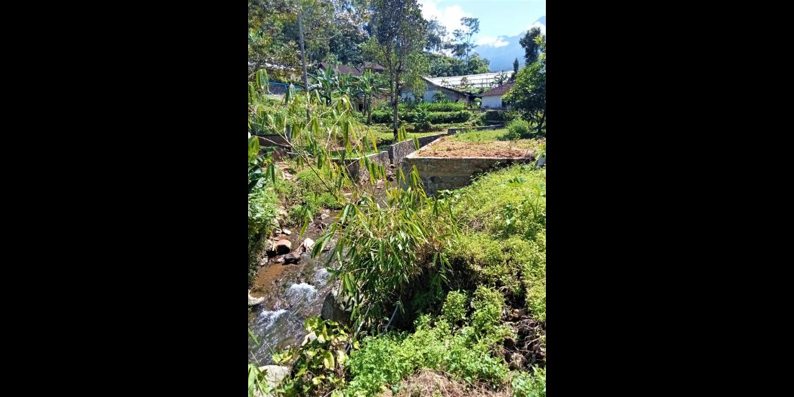 Tanah Datar Dekat Sungai Pegunungan Kemuning Ngargoyoso Tanah Datar Dekat Sungai Pegunungan Kemuning Ngargoyoso