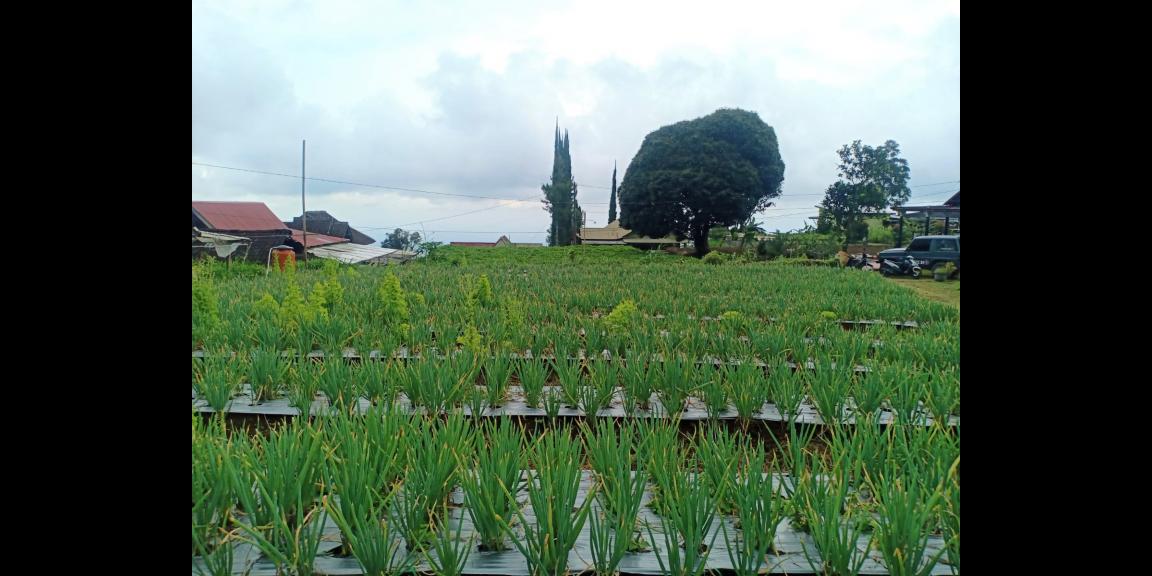 Tanah Kawasan Wisata Paralayang Kemuning Karanganyar Tanah Kawasan Wisata Paralayang Kemuning Karanganyar
