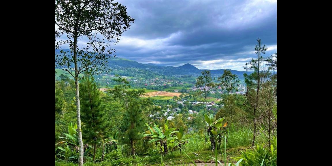 Dijual Tanah Cocok untuk Villa, Hotel, Resort Kemuning Karanganyar Dijual Tanah Cocok untuk Villa, Hotel, Resort Kemuning Karanganyar