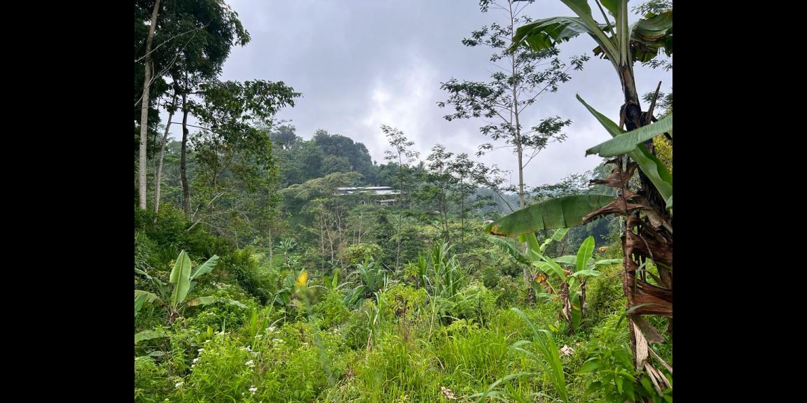 Dijual Tanah Ada Air Terjunnya Ngargoyoso Karanganyar Dijual Tanah Ada Air Terjunnya Ngargoyoso Karanganyar