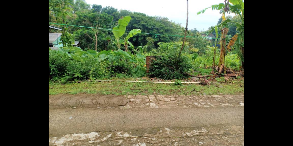 Tanah 1625m2 Dekat Sungai Sambirejo Sragen Tanah 1625m2 Dekat Sungai Sambirejo Sragen