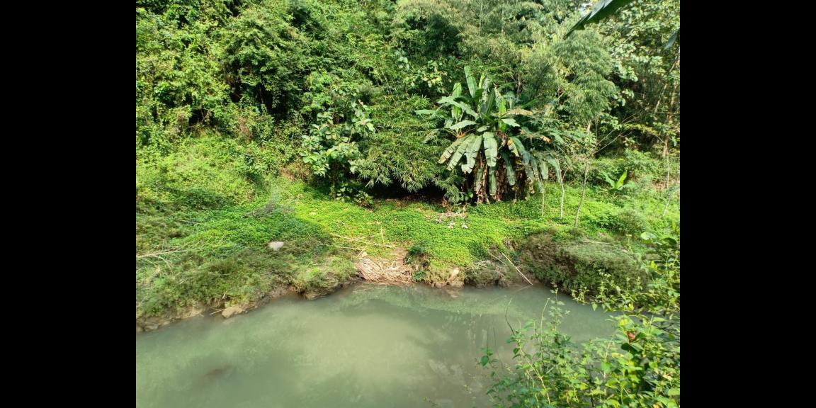 Tanah Dijual Murah Sambirejo Sragen Tanah Dijual Murah Sambirejo Sragen