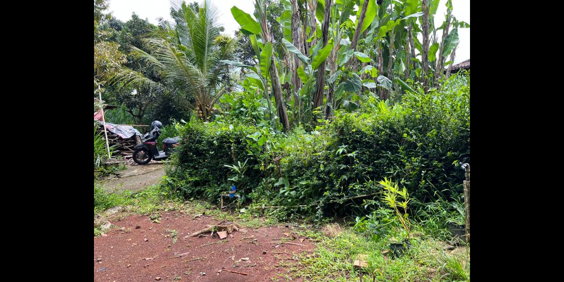 Jual Tanah Barat Pasar Mojogedang Karanganyar Jual Tanah Barat Pasar Mojogedang Karanganyar