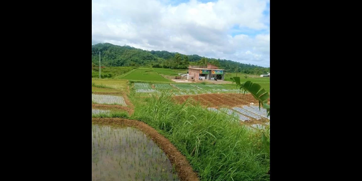 Rumah Siap Huni Jl Raya Solo Tawangmangu Karanganyar Rumah Siap Huni Jl Raya Solo Tawangmangu Karanganyar