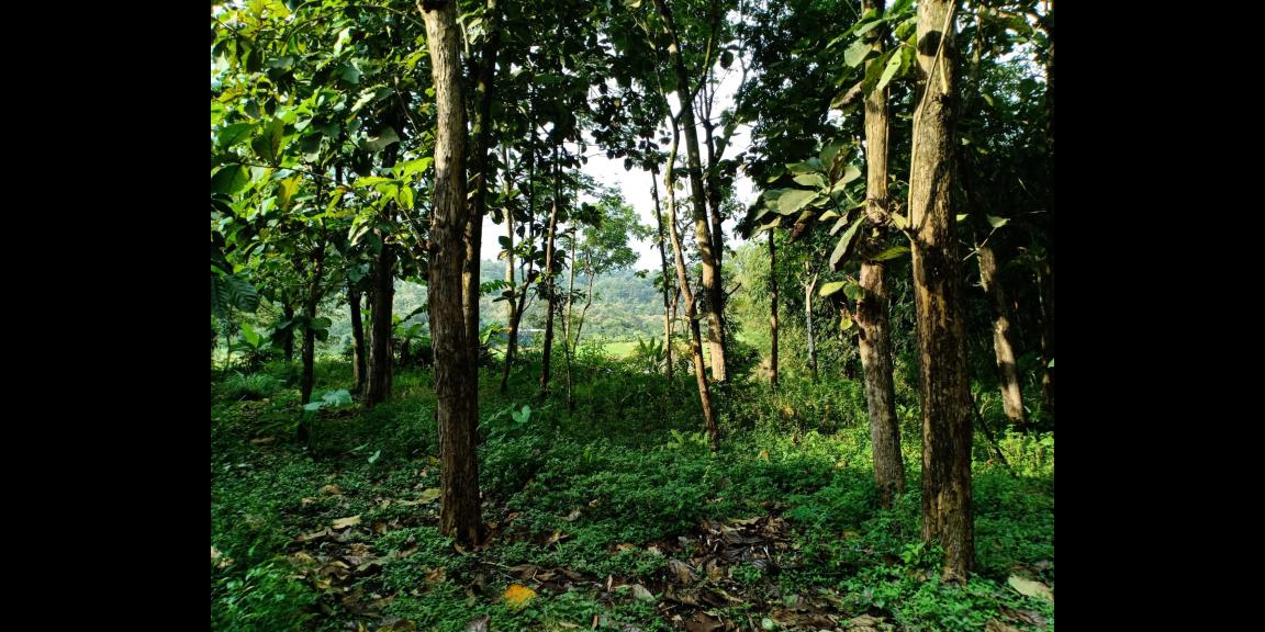 Tanah Pekarangan di Karangpandan Karanganyar Tanah Pekarangan di Karangpandan Karanganyar