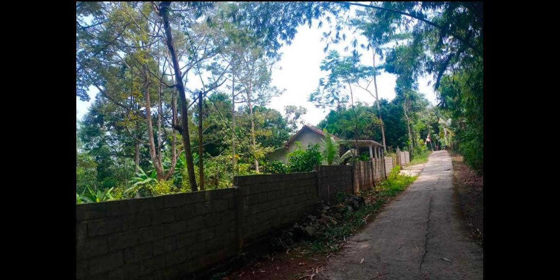 Jual Tanah Kebun Durian dan Rumah Mojogedang Karanganyar Jual Tanah Kebun Durian dan Rumah Mojogedang Karanganyar