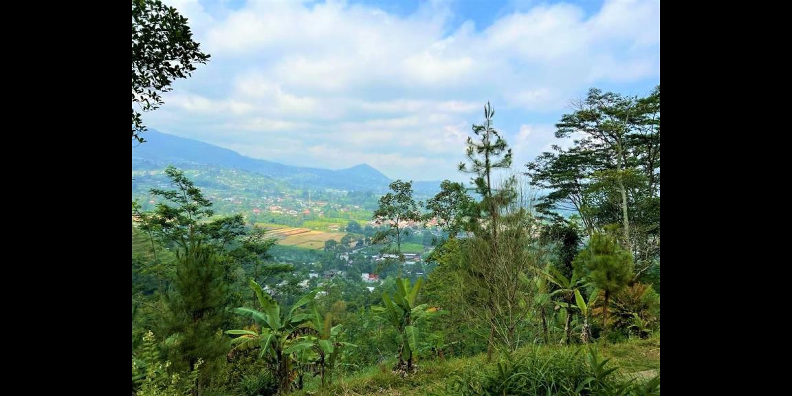 Jual Cepat Tanah Murah Kemuning Karanganyar Jual Cepat Tanah Murah Kemuning Karanganyar