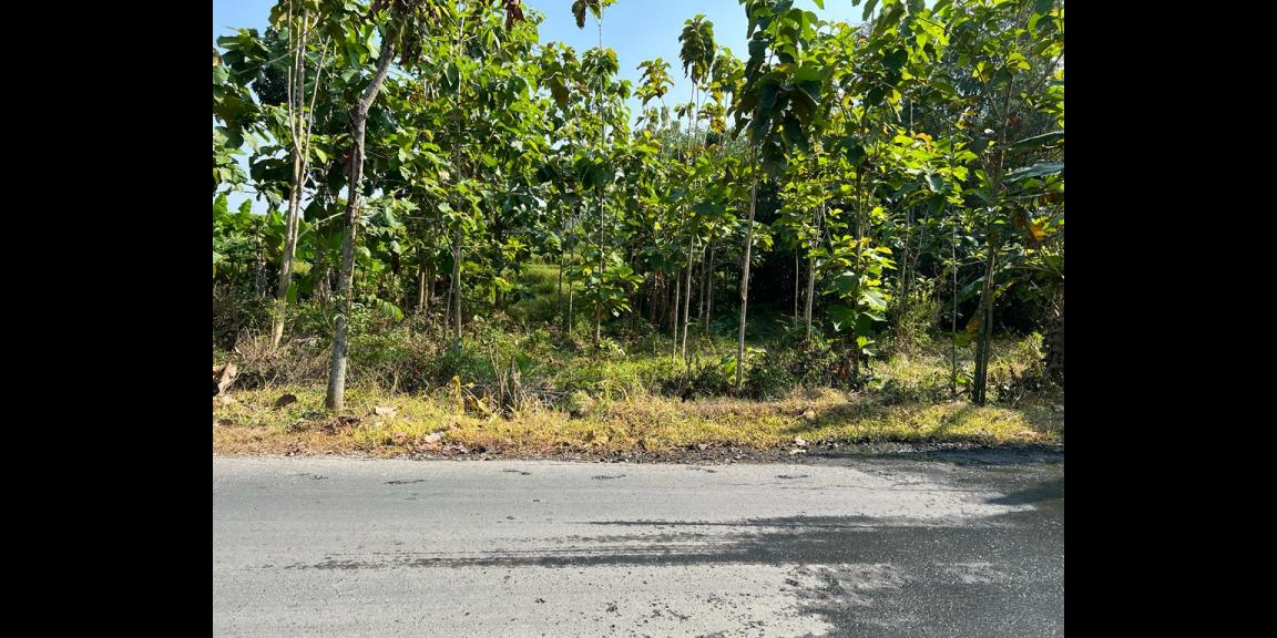 Tanah Rumah Strategis Buka Usaha Karanganyar Tanah Rumah Strategis Buka Usaha Karanganyar