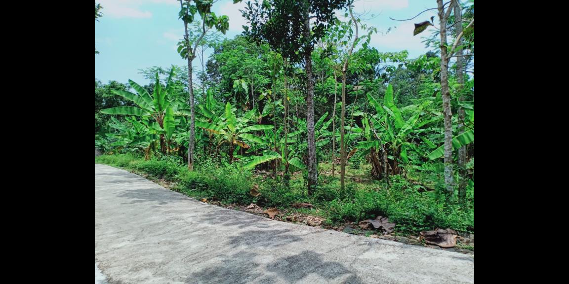 Jual Tanah di Mojogedang Karanganyar Jual Tanah di Mojogedang Karanganyar