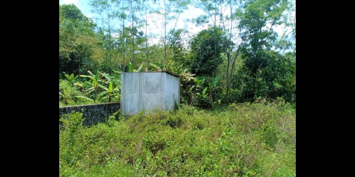 Tanah Murah 1591m² 325 Juta Mojogedang Karanganyar Tanah Murah 1591m² 325 Juta Mojogedang Karanganyar