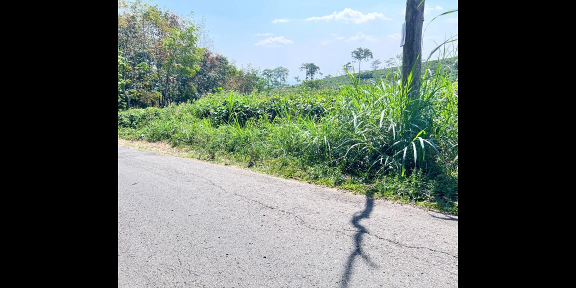 Tanah Strategis 3512m² View Hamparan Kebun Teh Tanah Strategis 3512m² View Hamparan Kebun Teh