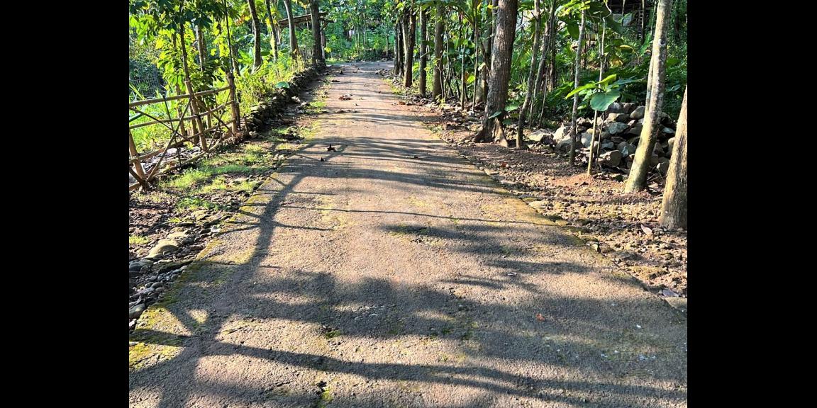 Dijual Tanah Asri 135 Juta Kedawung Sragen Dijual Tanah Asri 135 Juta Kedawung Sragen