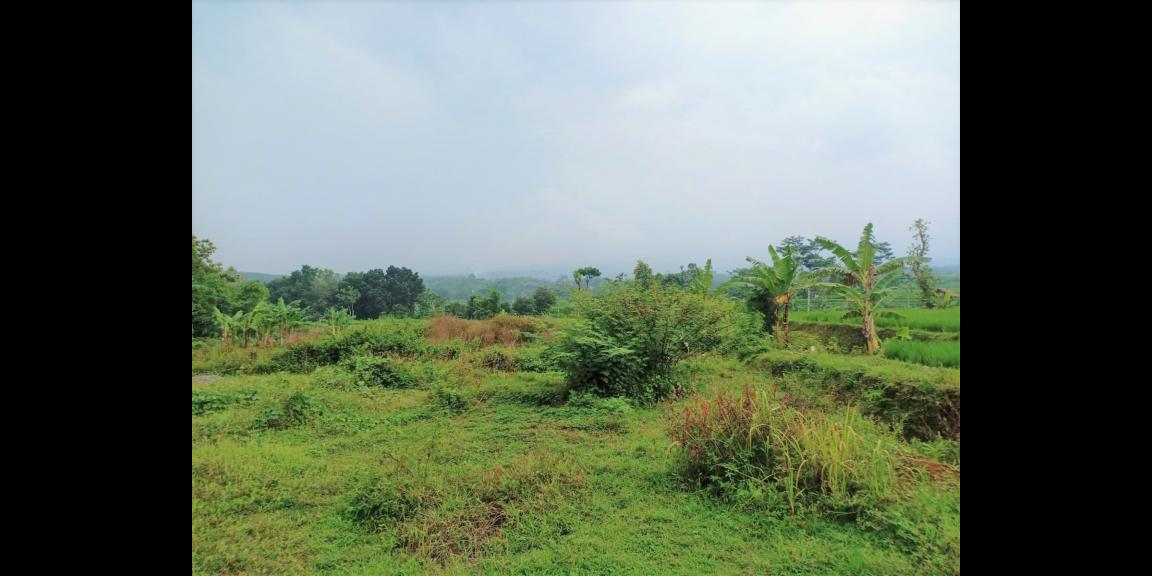 Jual Tanah View Gunung Lawu Karanganyar Jual Tanah View Gunung Lawu Karanganyar